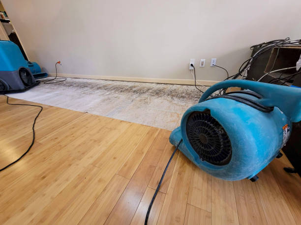Professional Water Removal technician working in Farmer, OH